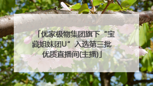优家极物集团旗下“宝藏姐妹团U”入选第三批优质直播间(主播)