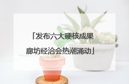 发布六大硬核成果 廊坊经洽会热潮涌动
