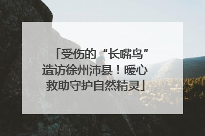 受伤的“长嘴鸟”造访徐州沛县！暖心救助守护自然精灵