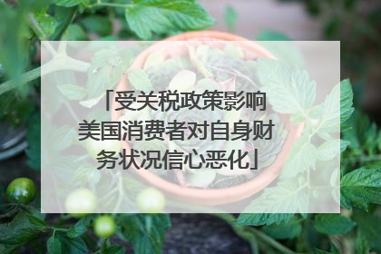 受关税政策影响 美国消费者对自身财务状况信心恶化
