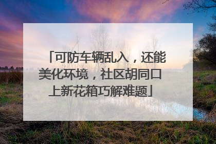 可防车辆乱入，还能美化环境，社区胡同口上新花箱巧解难题