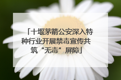 十堰茅箭公安深入特种行业开展禁毒宣传共筑“无毒”屏障