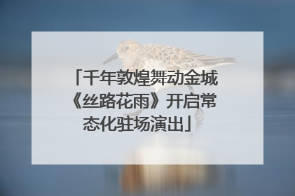 千年敦煌舞动金城《丝路花雨》开启常态化驻场演出