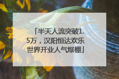 半天人流突破1.5万，汉阳恒达欢乐世界开业人气爆棚