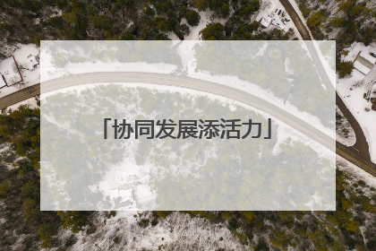 协同发展添活力