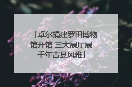 卓尔捐建罗田博物馆开馆 三大展厅展千年古县风雅