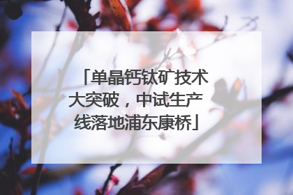 单晶钙钛矿技术大突破，中试生产线落地浦东康桥