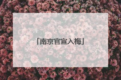 南京官宣入梅