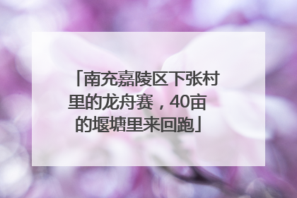 南充嘉陵区下张村里的龙舟赛，40亩的堰塘里来回跑
