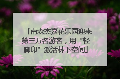 南森杰嘉花乐园迎来第三万名游客，用“轻脚印”激活林下空间