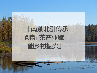 南茶北引传承创新 茶产业赋能乡村振兴