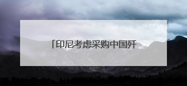 印尼考虑采购中国歼-10战斗机，正评估性能与成本优势