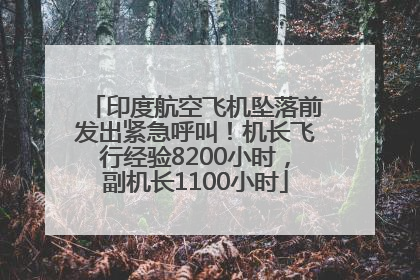 印度航空飞机坠落前发出紧急呼叫！机长飞行经验8200小时，副机长1100小时