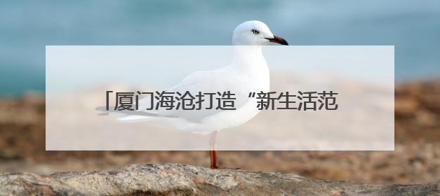 厦门海沧打造“新生活范”：古厝焕新留住文脉，青年回归办起文化客厅
