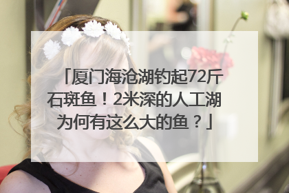 厦门海沧湖钓起72斤石斑鱼！2米深的人工湖为何有这么大的鱼？
