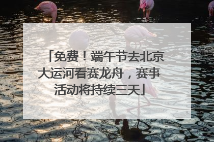免费！端午节去北京大运河看赛龙舟，赛事活动将持续三天