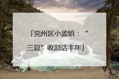 兖州区小孟镇：“三夏”收割话丰年