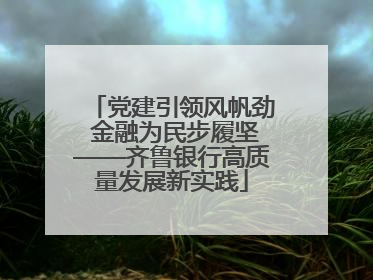 党建引领风帆劲 金融为民步履坚——齐鲁银行高质量发展新实践