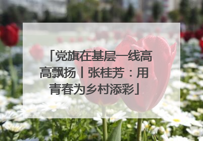 党旗在基层一线高高飘扬丨张桂芳：用青春为乡村添彩