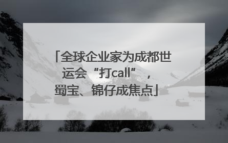 全球企业家为成都世运会“打call”，蜀宝、锦仔成焦点