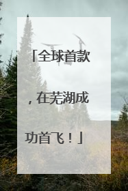 全球首款，在芜湖成功首飞！