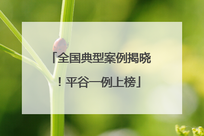 全国典型案例揭晓！平谷一例上榜
