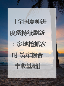 全国夏种进度条持续刷新：多地抢抓农时 筑牢粮食丰收基础