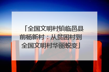 全国文明村镇临邑县前杨新村：从贫困村到全国文明村华丽蜕变