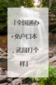 全国通办+免户口本，武昌打个样