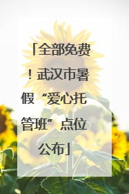 全部免费！武汉市暑假“爱心托管班”点位公布
