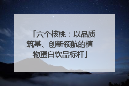 六个核桃：以品质筑基、创新领航的植物蛋白饮品标杆