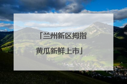 兰州新区拇指黄瓜新鲜上市