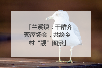 兰溪镇：干群齐聚屋场会，共绘乡村“靓”图景