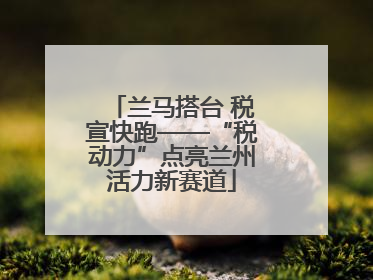兰马搭台 税宣快跑——“税动力”点亮兰州活力新赛道