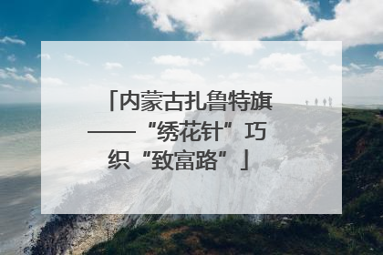 内蒙古扎鲁特旗——“绣花针”巧织“致富路”