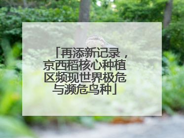 再添新记录，京西稻核心种植区频现世界极危与濒危鸟种