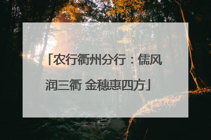 农行衢州分行：儒风润三衢 金穗惠四方