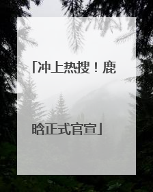 冲上热搜！鹿晗正式官宣