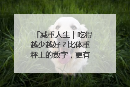 减重人生｜吃得越少越好？比体重秤上的数字，更有意义的是什么？