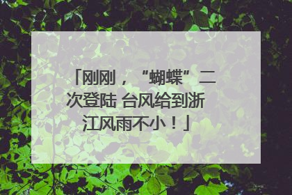 刚刚，“蝴蝶”二次登陆 台风给到浙江风雨不小！