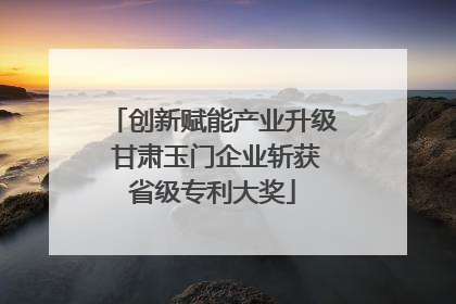 创新赋能产业升级 甘肃玉门企业斩获省级专利大奖