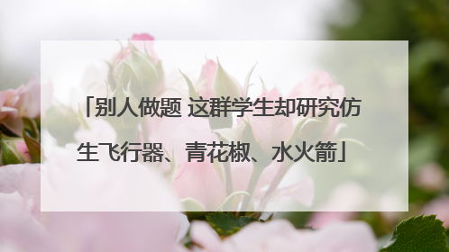 别人做题 这群学生却研究仿生飞行器、青花椒、水火箭