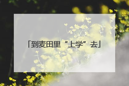 到麦田里“上学”去