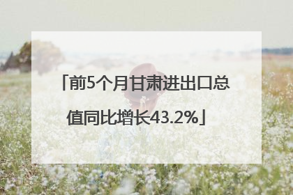 前5个月甘肃进出口总值同比增长43.2%