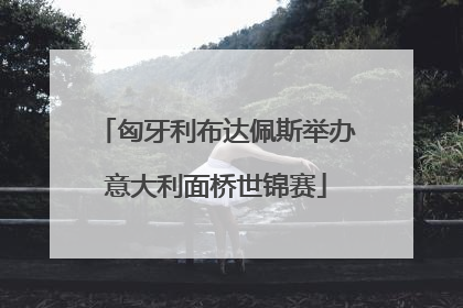 匈牙利布达佩斯举办意大利面桥世锦赛