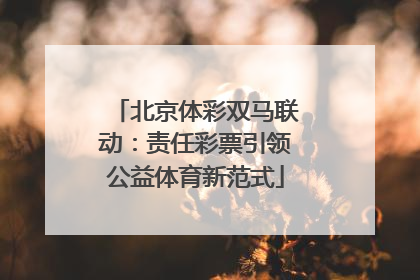 北京体彩双马联动：责任彩票引领公益体育新范式
