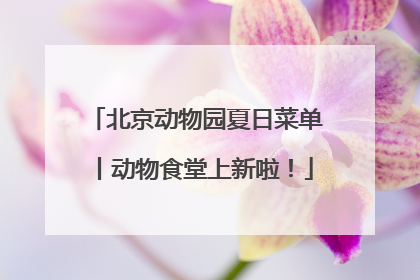 北京动物园夏日菜单丨动物食堂上新啦！