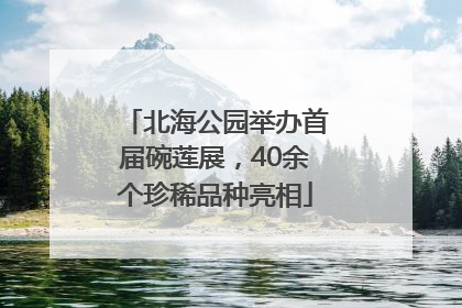 北海公园举办首届碗莲展，40余个珍稀品种亮相