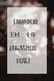 埇桥区夏王村：十年耕耘结出富民瓜