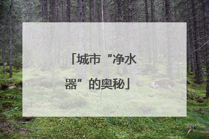 城市“净水器”的奥秘